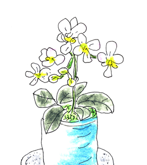 花２"