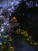 Here is clicked.�I