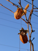 Here is clicked.�I