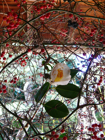 �u��ƉƂ��߂���A�[�g�W in �Ό��@�v-2�@(11/25)