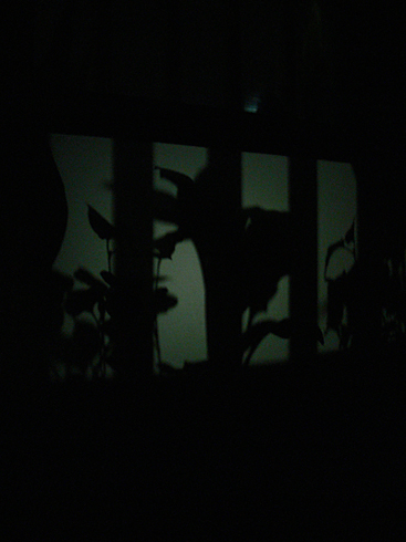 k̉eGA܂ił@(6/17)